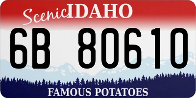 ID license plate 6B8061O