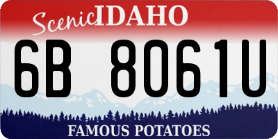 ID license plate 6B8061U