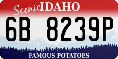 ID license plate 6B8239P