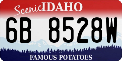 ID license plate 6B8528W