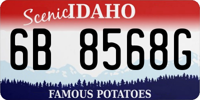 ID license plate 6B8568G