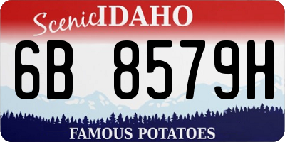 ID license plate 6B8579H