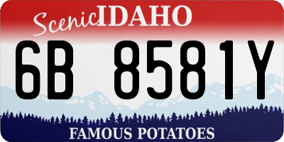 ID license plate 6B8581Y