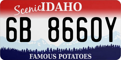 ID license plate 6B8660Y
