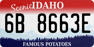 ID license plate 6B8663E