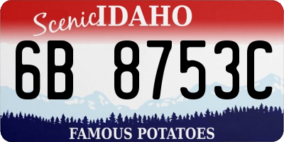 ID license plate 6B8753C