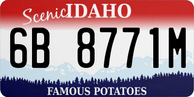 ID license plate 6B8771M