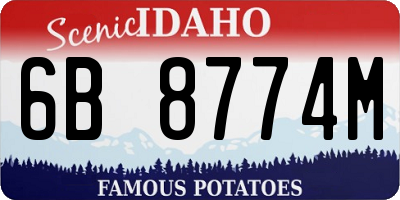 ID license plate 6B8774M