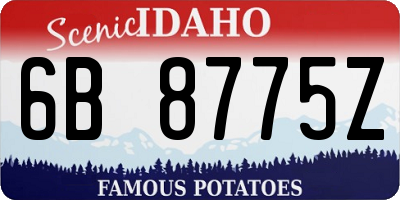 ID license plate 6B8775Z