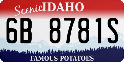 ID license plate 6B8781S