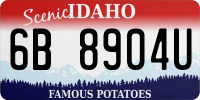 ID license plate 6B8904U