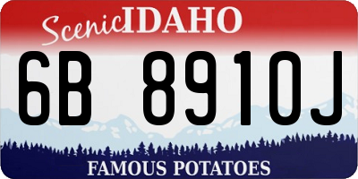 ID license plate 6B8910J