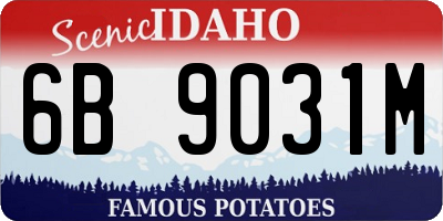 ID license plate 6B9031M