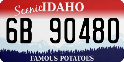 ID license plate 6B9048O