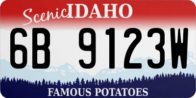 ID license plate 6B9123W