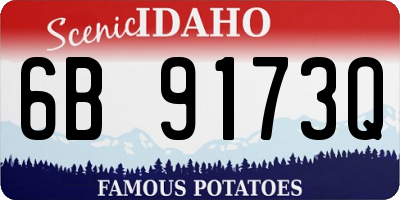 ID license plate 6B9173Q