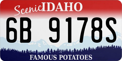 ID license plate 6B9178S