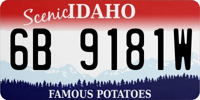 ID license plate 6B9181W