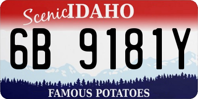 ID license plate 6B9181Y