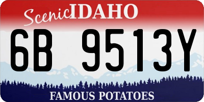 ID license plate 6B9513Y