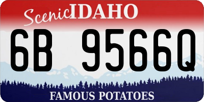 ID license plate 6B9566Q