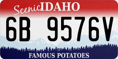 ID license plate 6B9576V