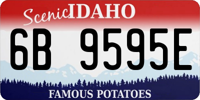 ID license plate 6B9595E