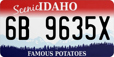 ID license plate 6B9635X
