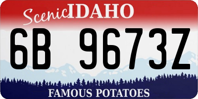 ID license plate 6B9673Z