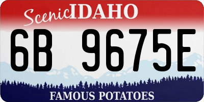 ID license plate 6B9675E