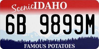 ID license plate 6B9899M