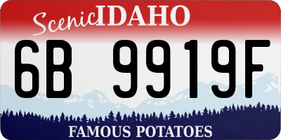 ID license plate 6B9919F