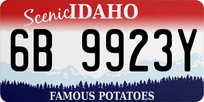 ID license plate 6B9923Y