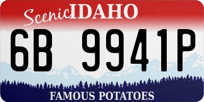 ID license plate 6B9941P