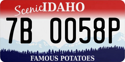 ID license plate 7B0058P