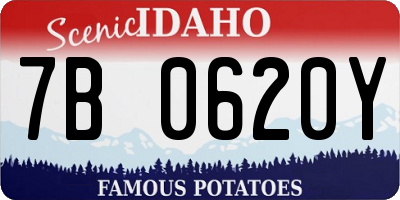 ID license plate 7B0620Y