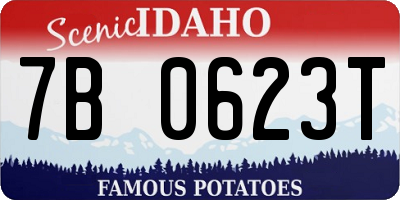 ID license plate 7B0623T
