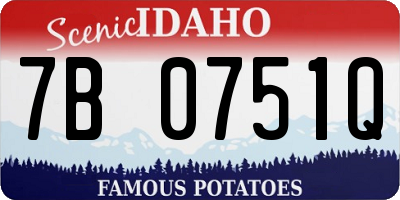 ID license plate 7B0751Q