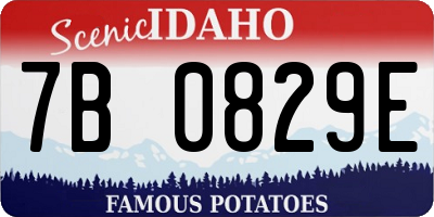 ID license plate 7B0829E