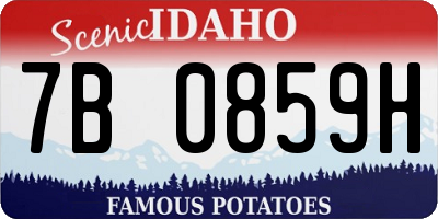 ID license plate 7B0859H