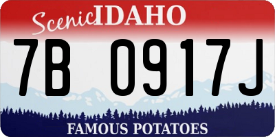 ID license plate 7B0917J