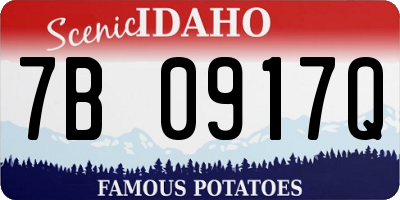ID license plate 7B0917Q