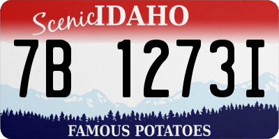 ID license plate 7B1273I