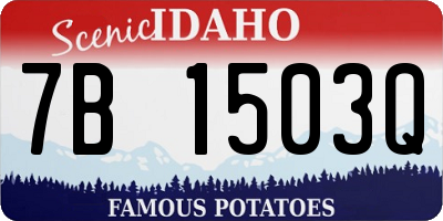 ID license plate 7B1503Q
