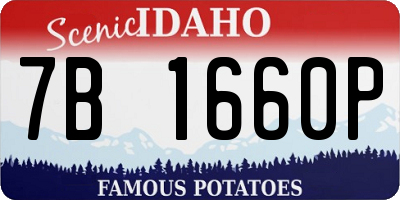 ID license plate 7B1660P