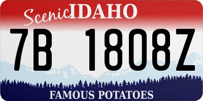 ID license plate 7B1808Z