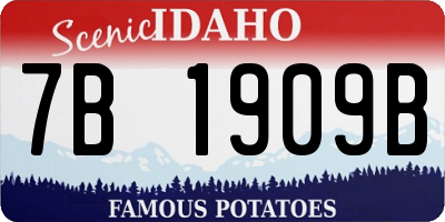ID license plate 7B1909B