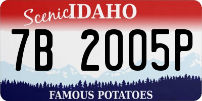 ID license plate 7B2005P