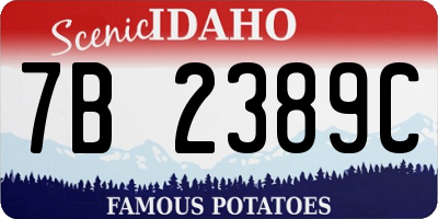 ID license plate 7B2389C