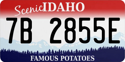 ID license plate 7B2855E